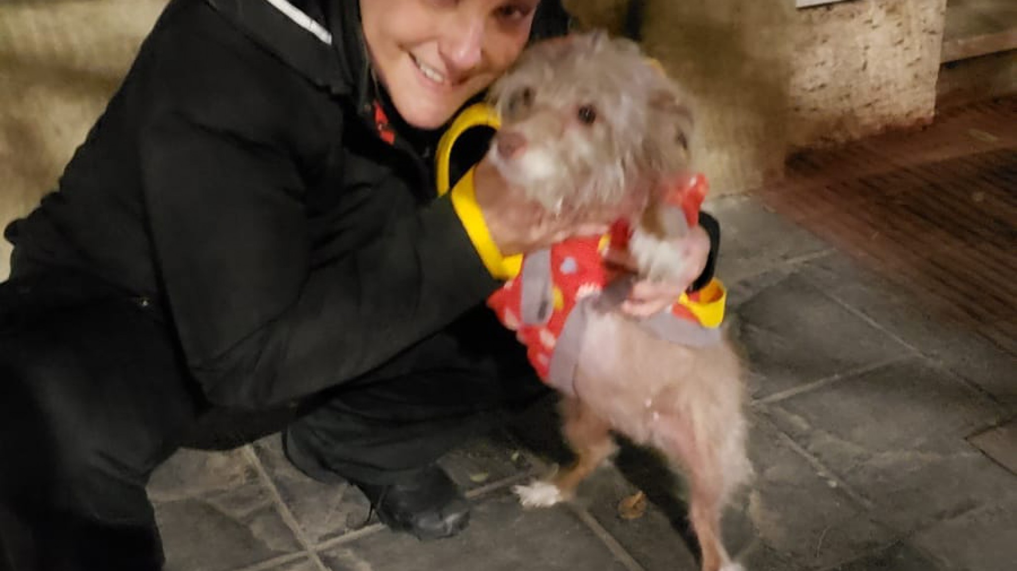 Una pediatra perdió su perra mientras estaba de guardia y su agradecimiento fue viral