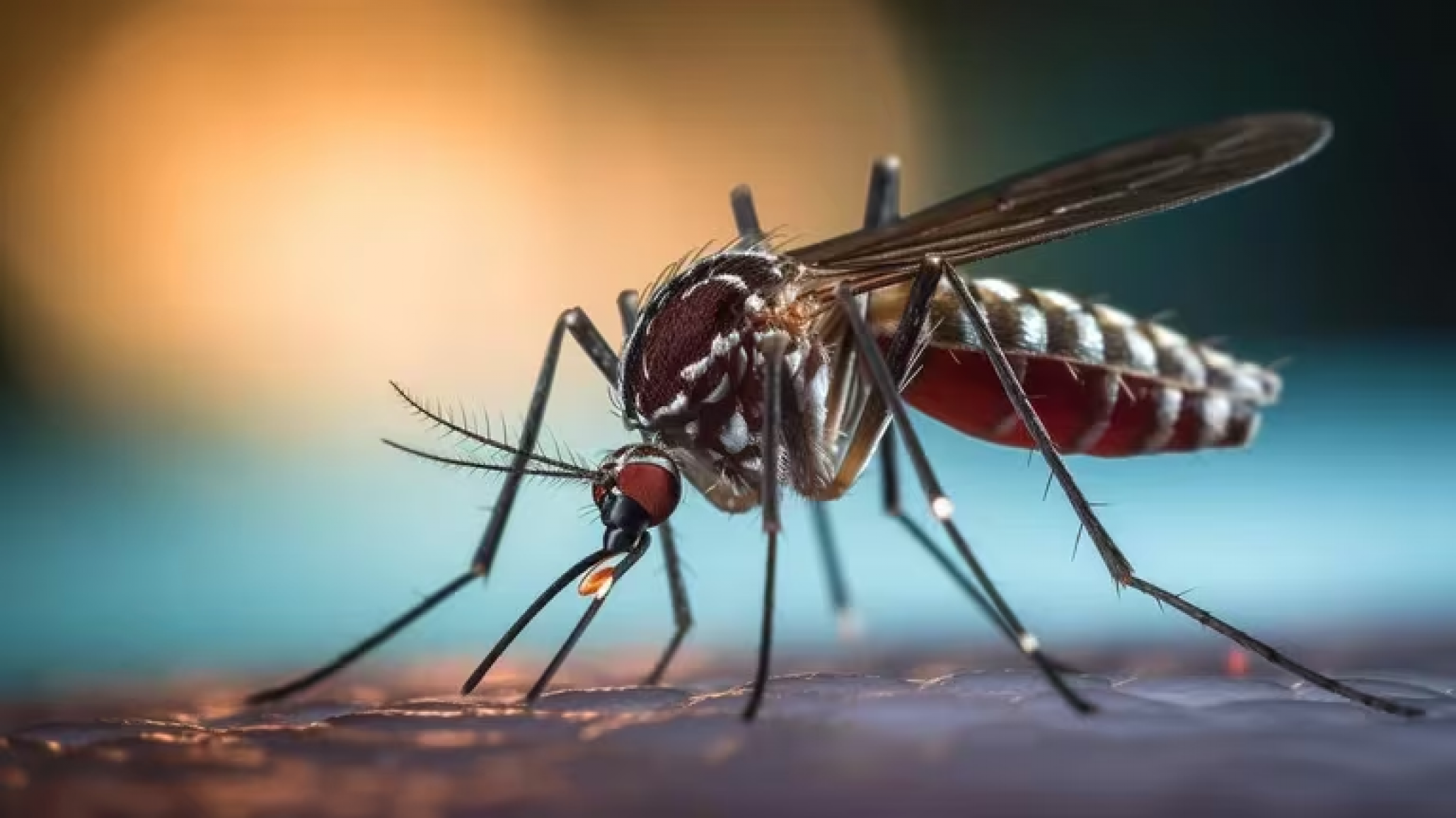 Alerta por dengue en Salta: 2 nuevas muertes y más de 18.000 casos confirmados
