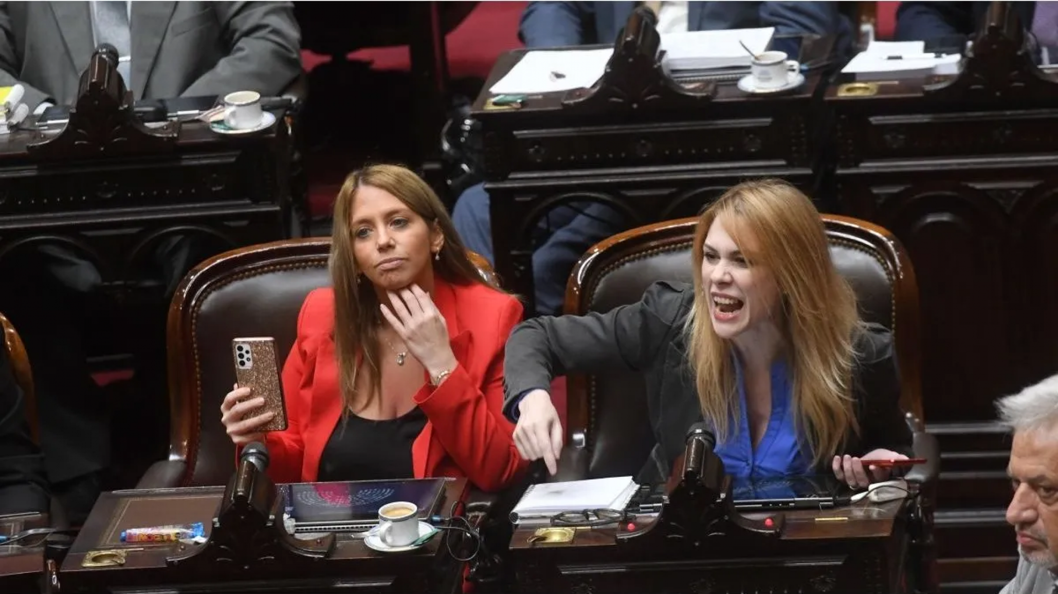 Lilia Lemoine será secretaria de la Comisión de Ciencia y Tecnología de Diputados