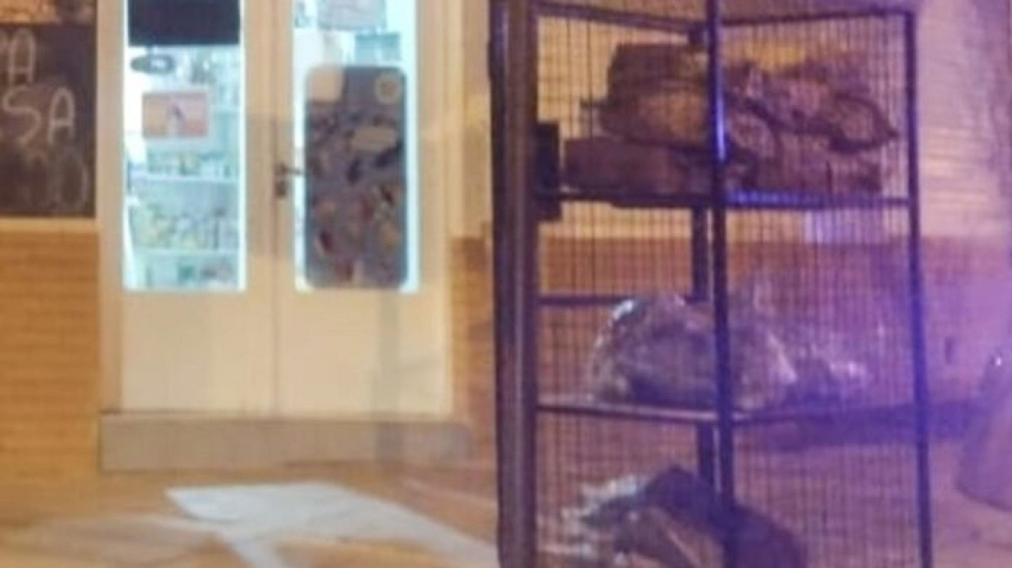 Detuvieron a dos jóvenes por robar bebidas alcohólicas a punta de cuchillo