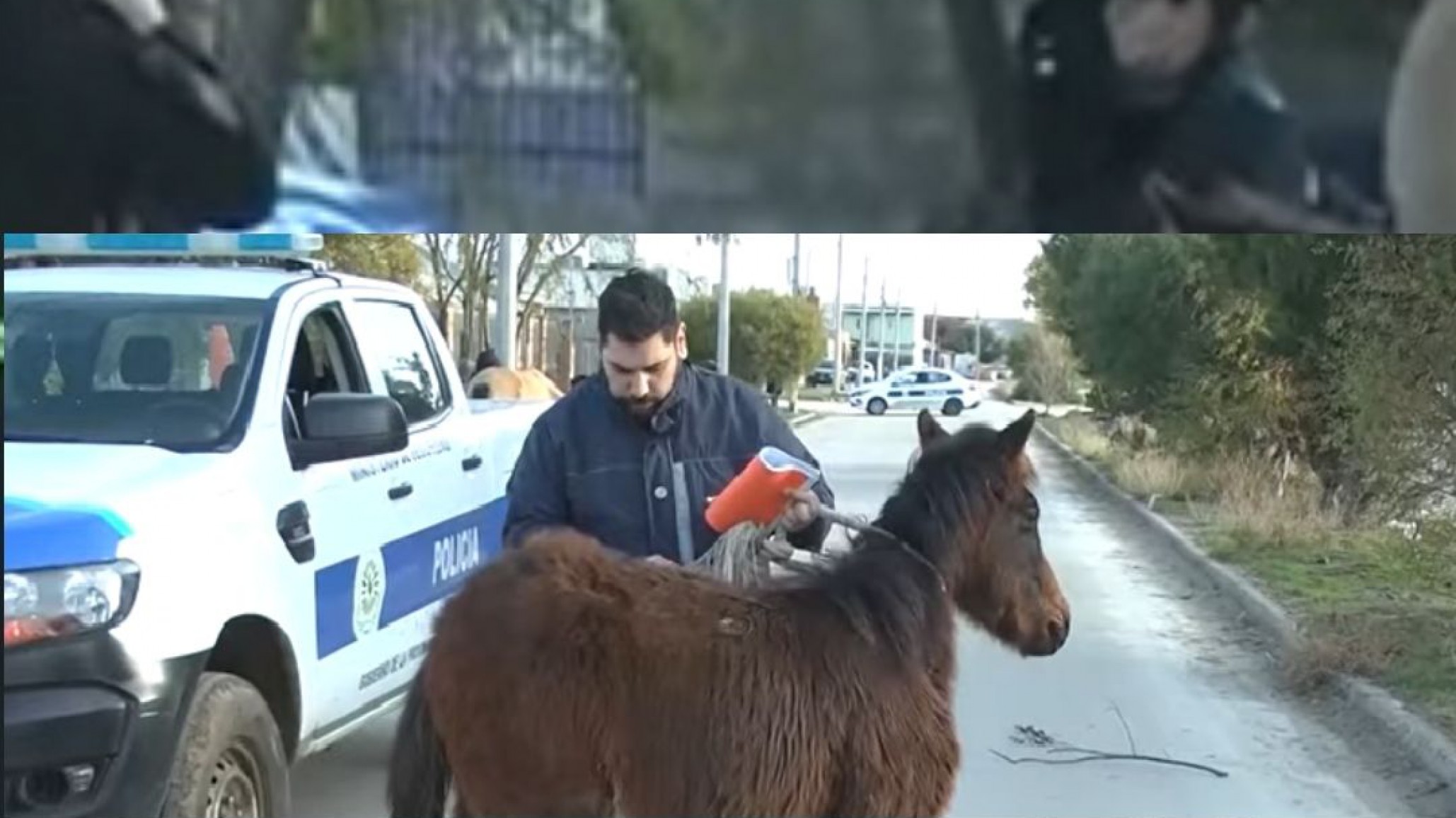 Soldados voluntarios chocaron su moto con un caballo suelto y terminaron en el hospital