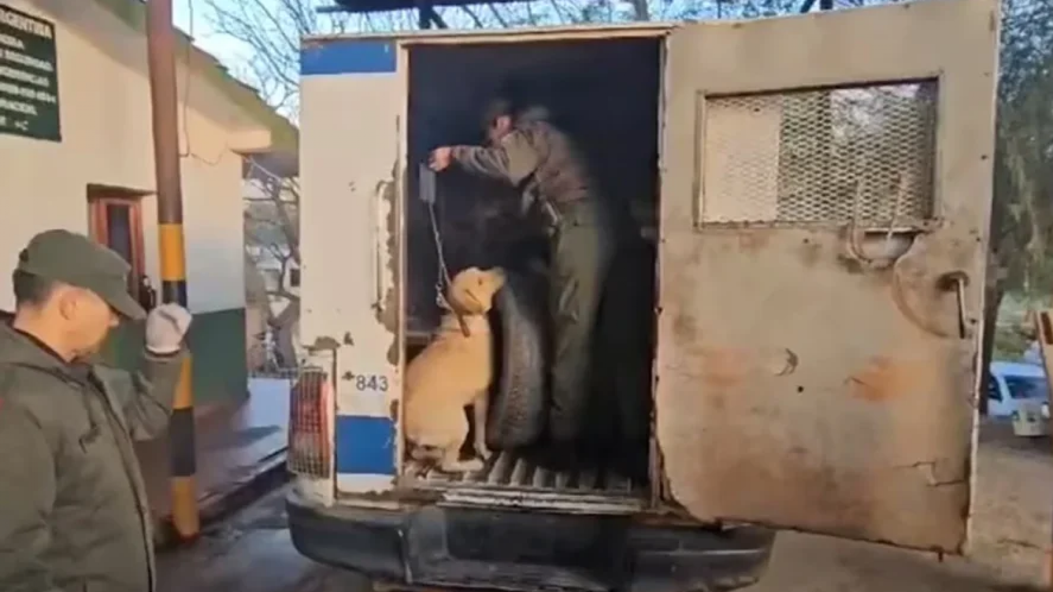 Dos policías detenidos por transportar 420 kilos de cocaína: ¿Cuál es la pena?