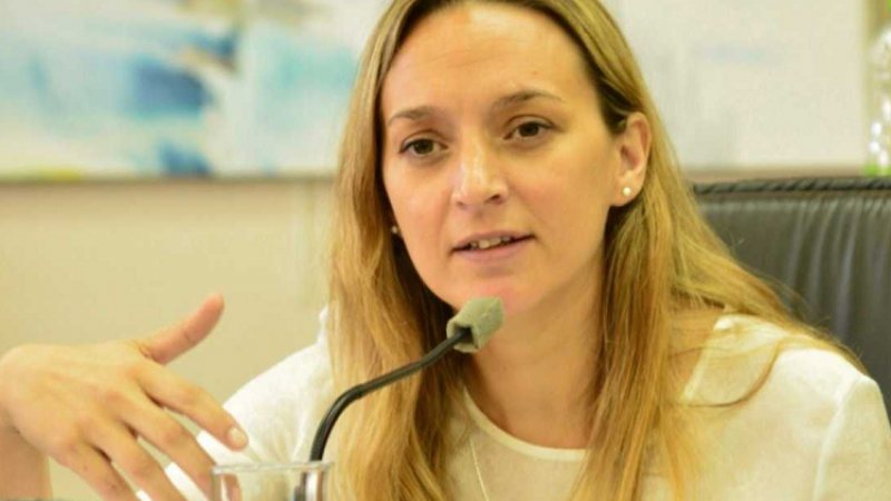 Buscan detener los aumentos de gas: "Son desproporcionados contra la sociedad"