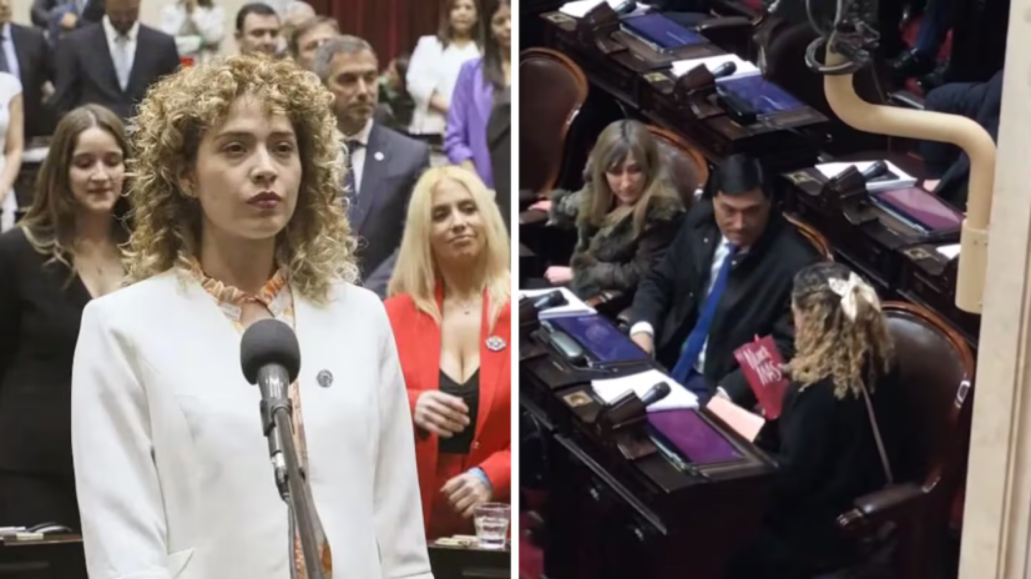 Diputada Libertaria que visitó represores fue al Congreso con el libro "Nunca Más"