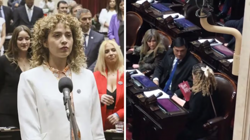 Diputada Libertaria que visitó represores fue al Congreso con el libro "Nunca Más"
