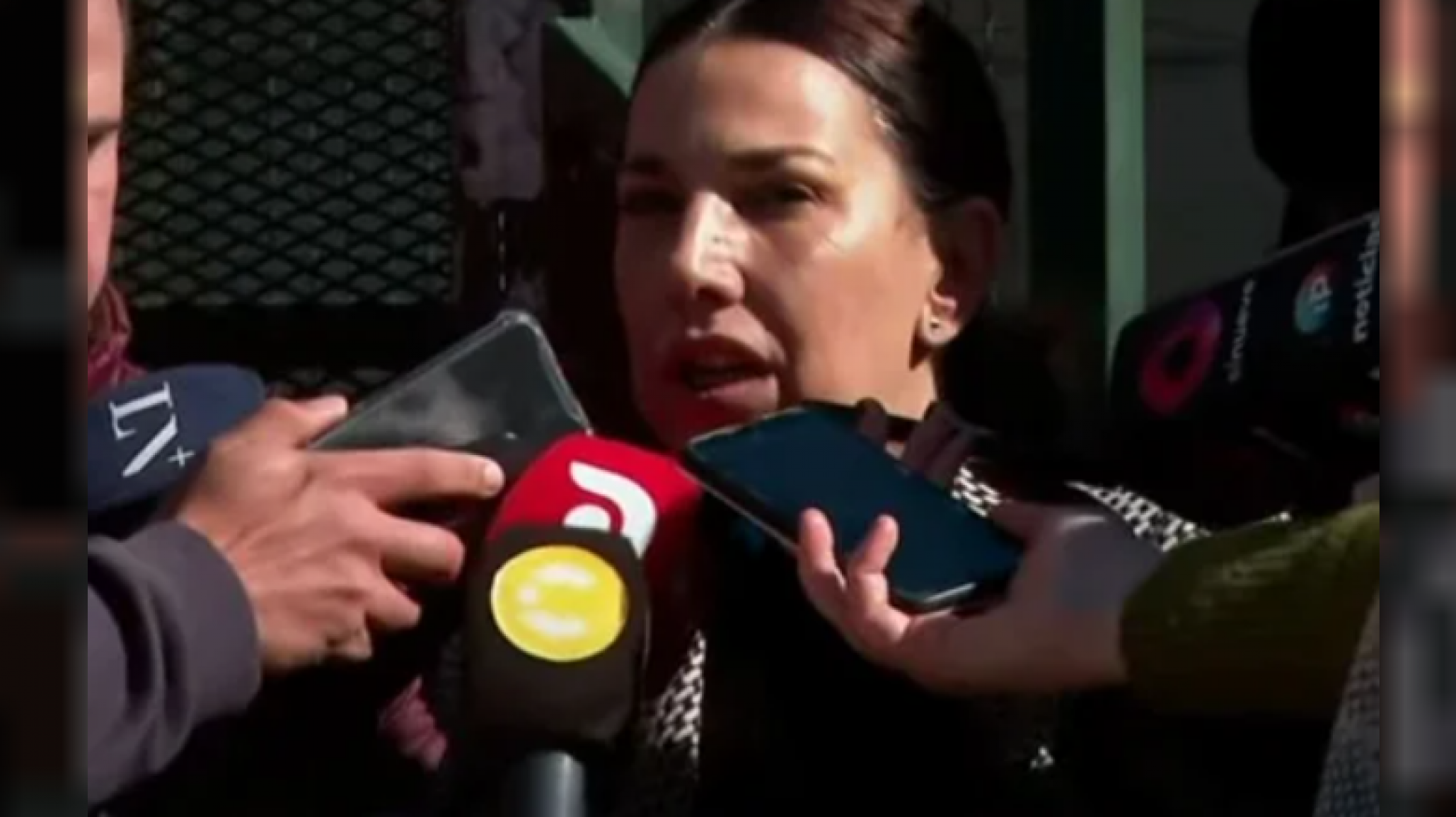 La abogada de Alberto Fernández descalificó la audiencia contra él y defendió el derecho a la defensa