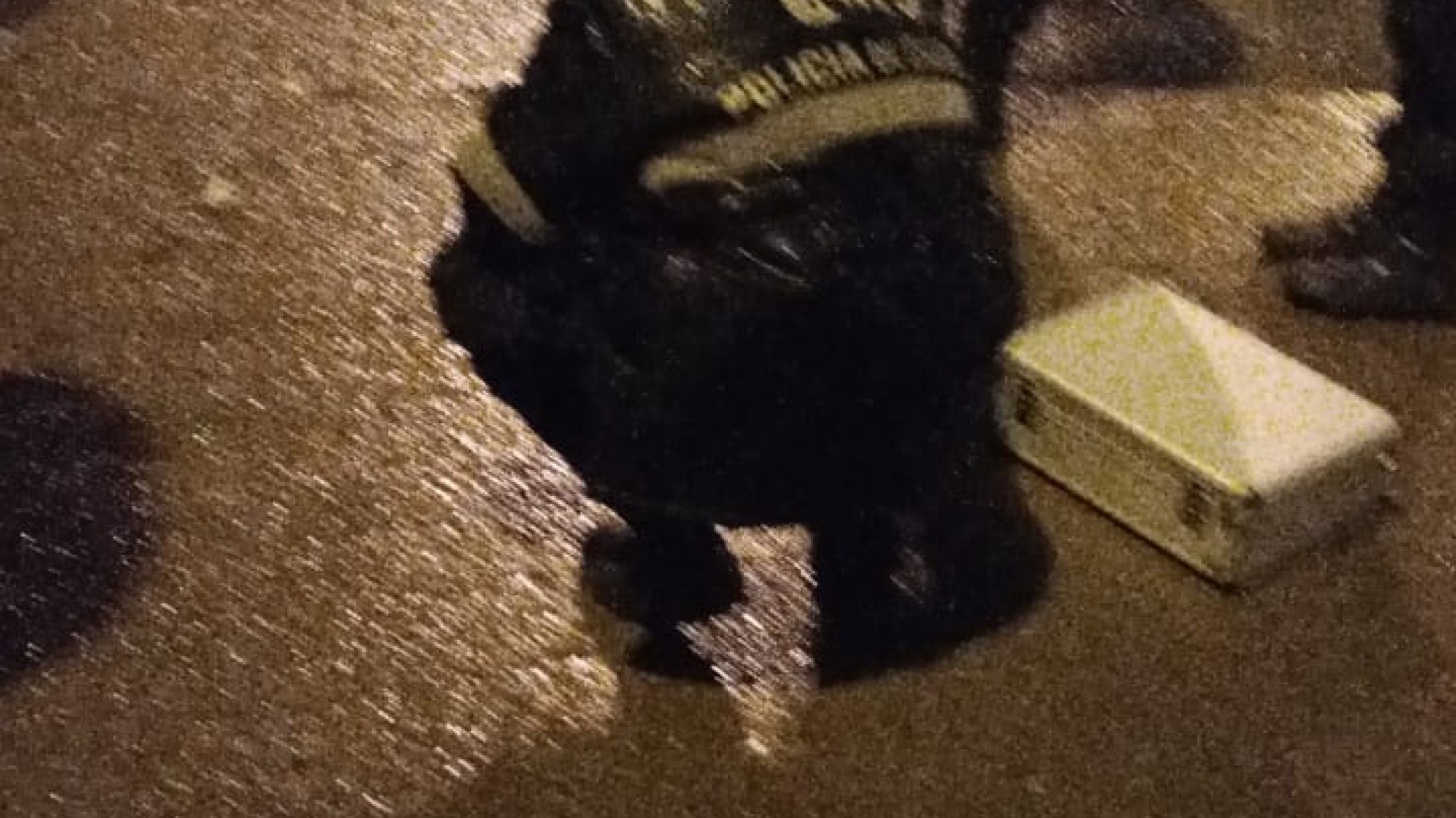 Dos jóvenes fueron heridos con un revólver: uno de ellos no quiso denunciar y se fue del hospital