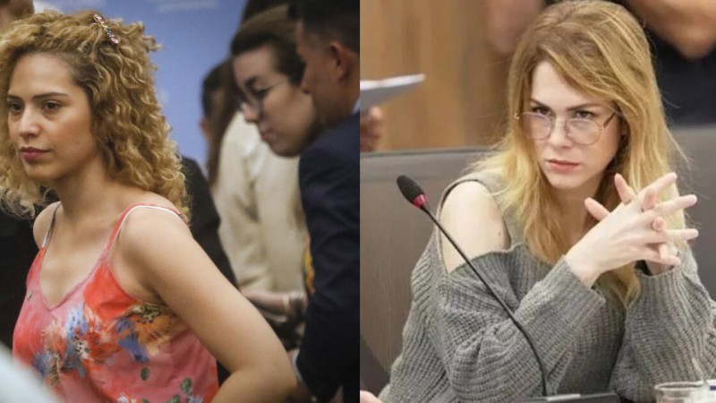 "No tiene los patitos en fila": Lilia Lemoine lapidaria con su compañera de LLA