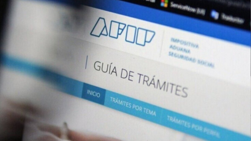 Baja masiva de monotributistas sociales: solo el 5% se reempadronó