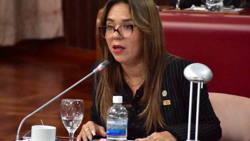 La diputada Tatiana Goic denunció que el oficialísimo intenta darle un tratamiento express al proyecto para unificar el ISSyS con el sistema de salud público