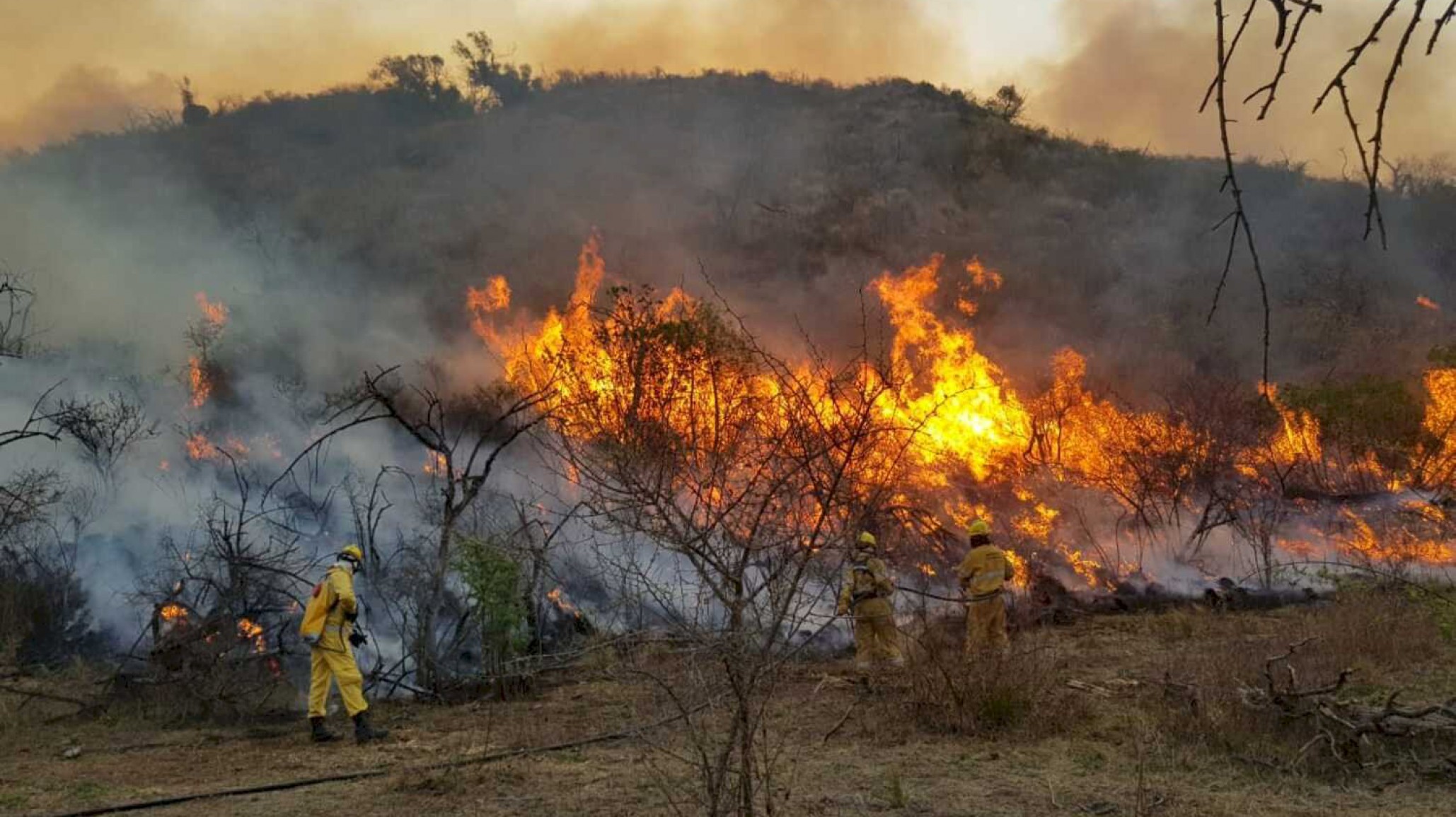Incendios forestales en Córdoba: continúan focos activos en Chancaní y Punilla