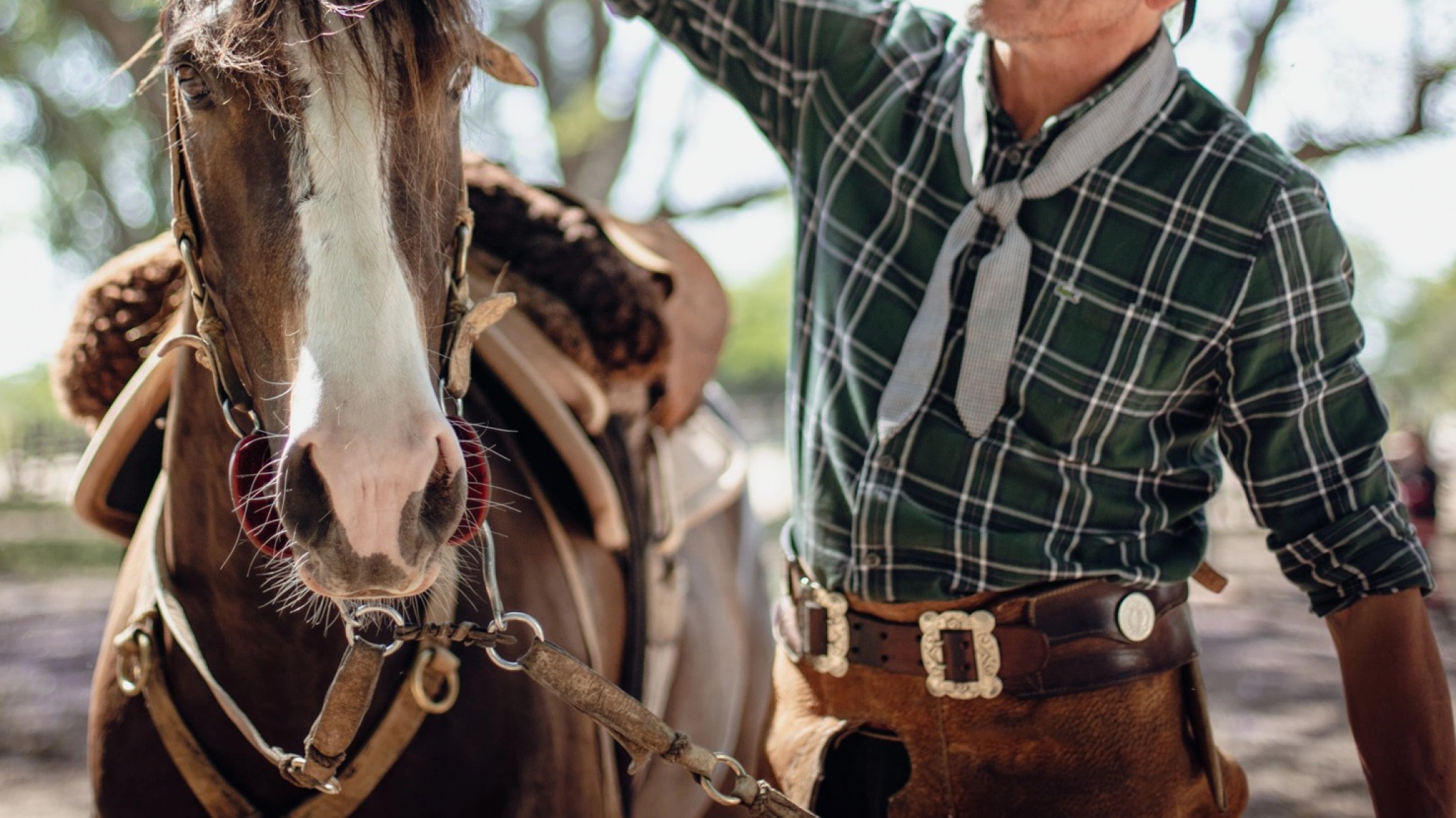 Jujuy: Un gaucho fue condenado por apuñalar a otro tras una discusión por unos perros