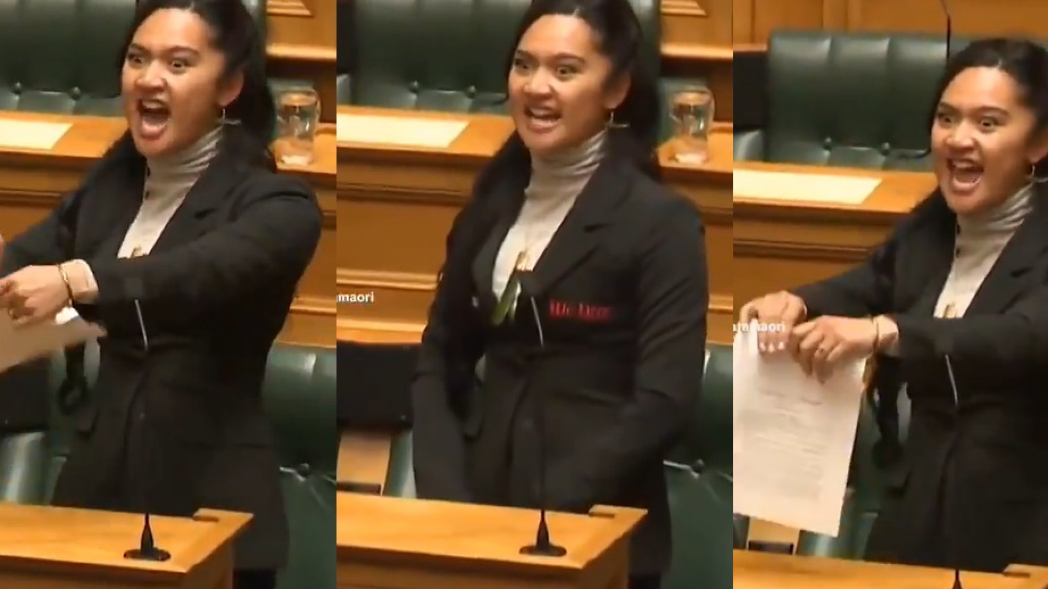 Haka de protesta sacude el Parlamento de Nueva Zelanda: Una diputada rompió el proyecto de ley