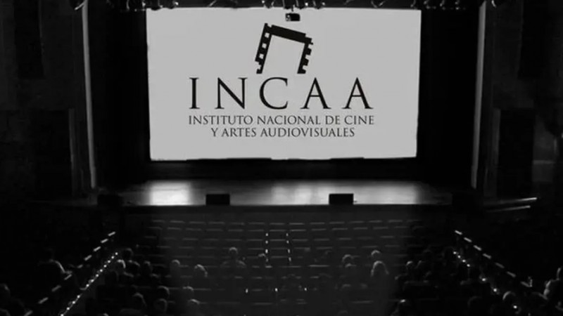 40 empleados del INCAA podrían ser despedidos