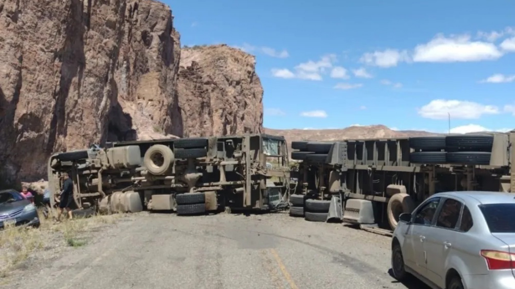 Un camión con animales a bordo volcó en Ruta 25