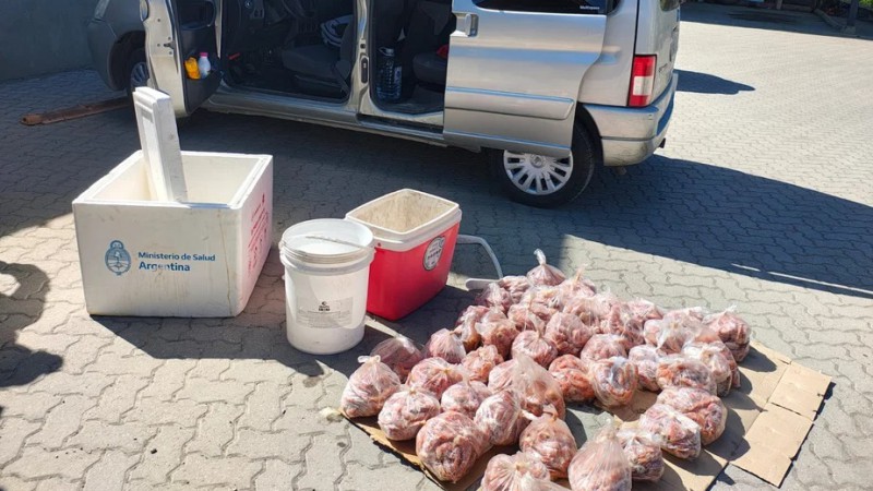 Esquel: Decomisan langostinos en mal estado