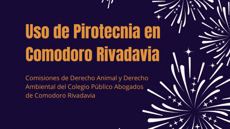 El Colegio de Abogados también se manifestó en contra de la pirotecnia