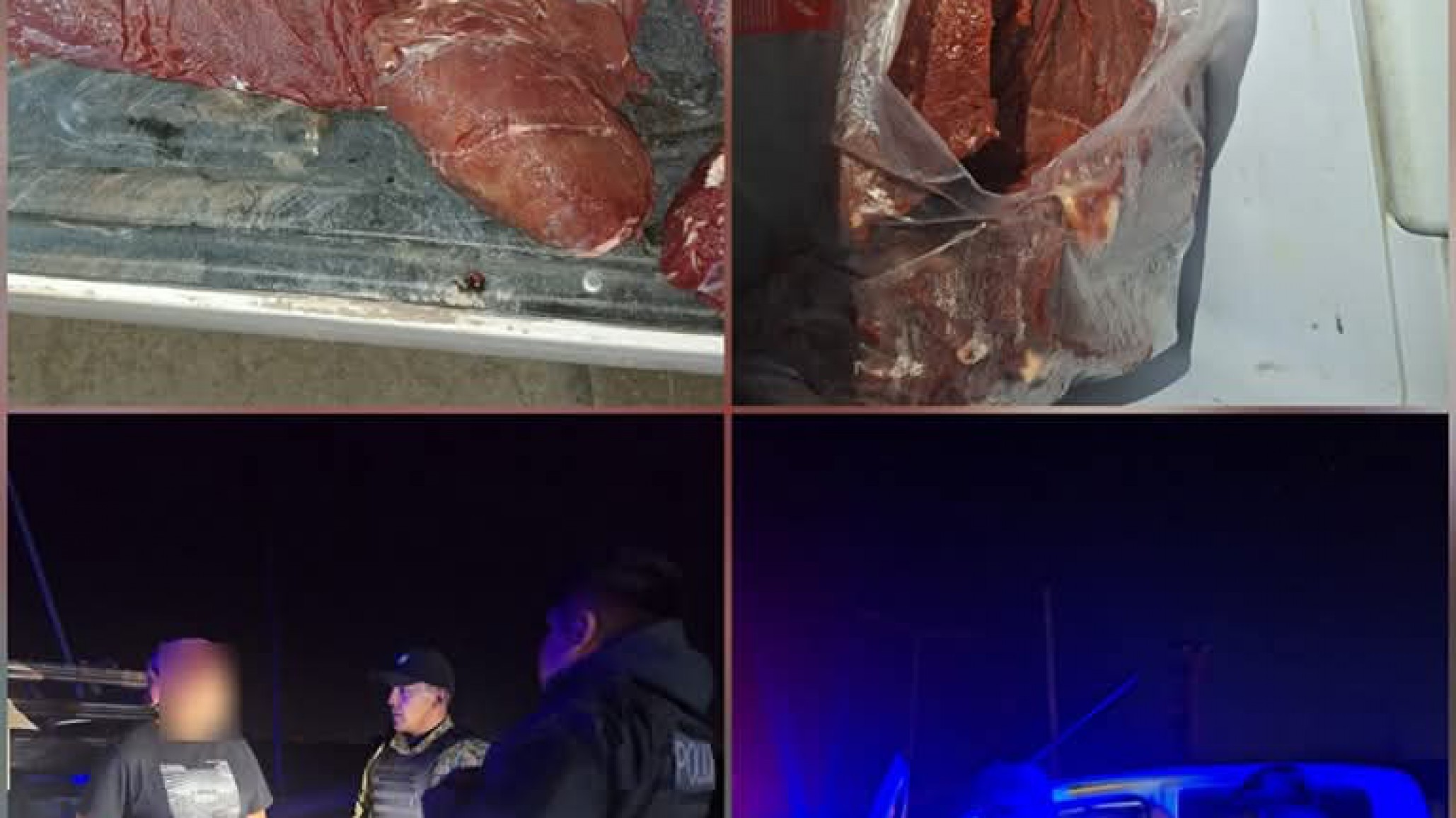 Multaron a un conductor por trasladar cuatro piezas de guanaco fuera de la temporada de caza