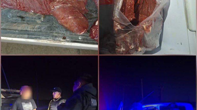 Multaron a un conductor por trasladar cuatro piezas de guanaco fuera de la temporada de caza