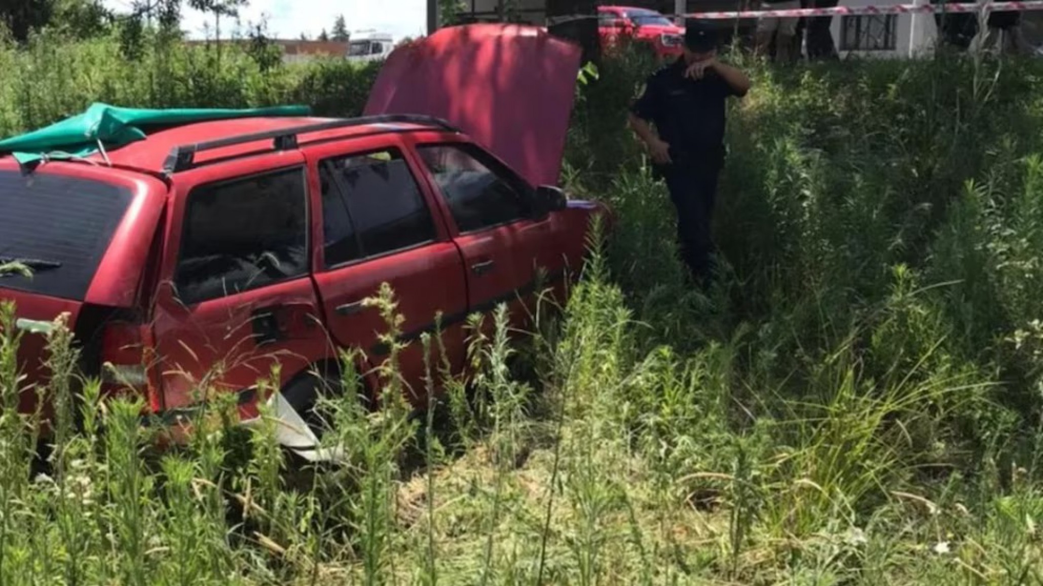 Una mujer de 76 años y su nieta de 8 fallecieron en un accidente en Ruta 11