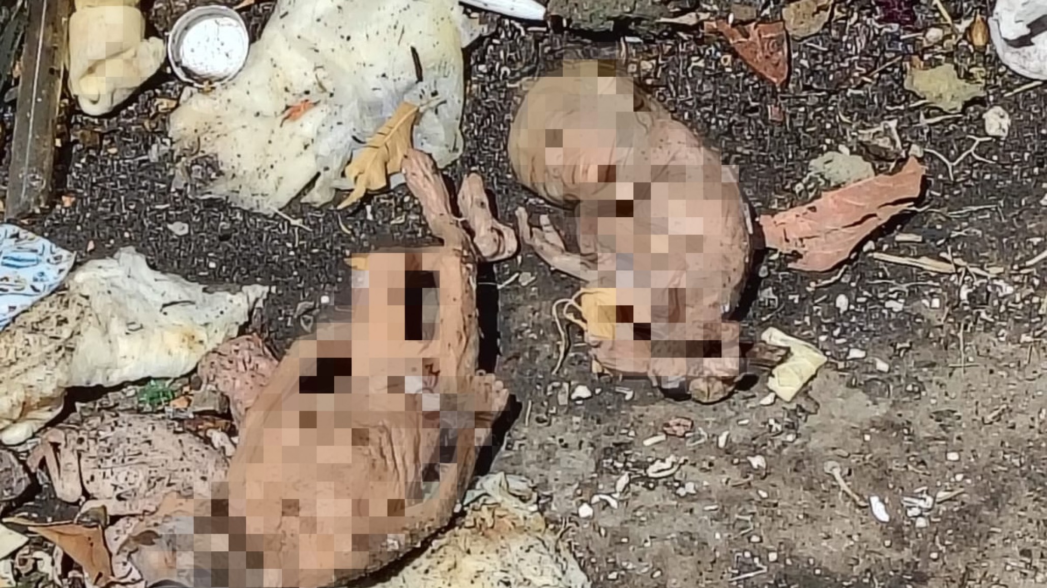 Hallaron ocho fetos dentro de un contenedor en Buenos Aires: "no pude dormir en la noche"