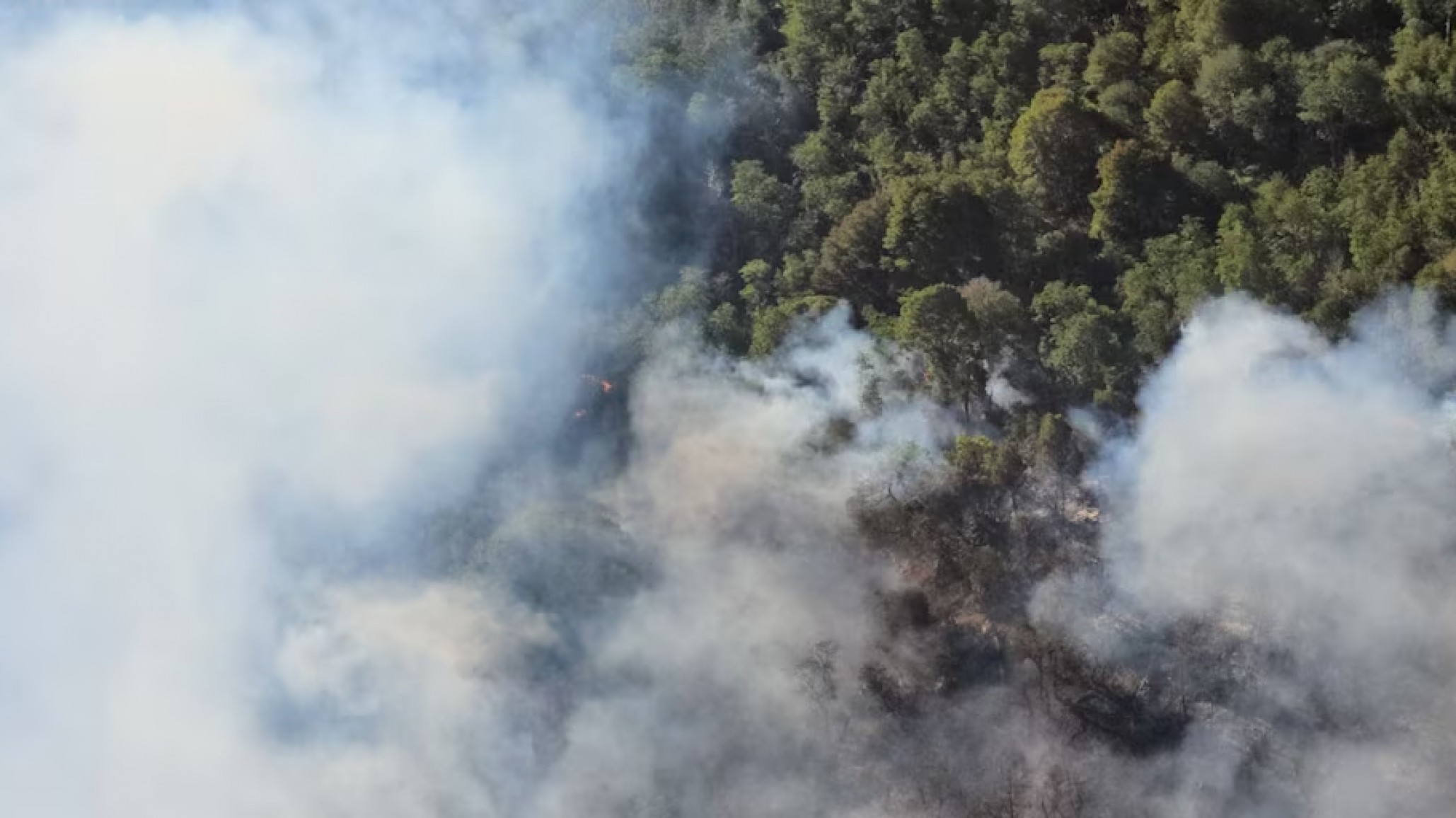 Incendio en el Parque Nacional Nahuel Huapi: detectaron nuevas columnas de humo