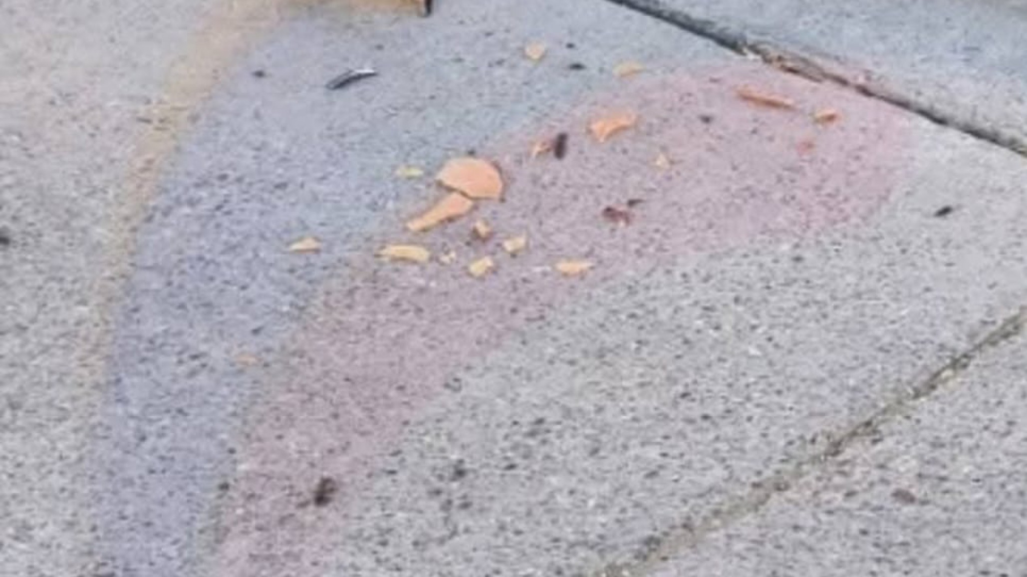 Investigan intento de femicidio: Vio a su ex pareja con su actual novio y los habría atropellado