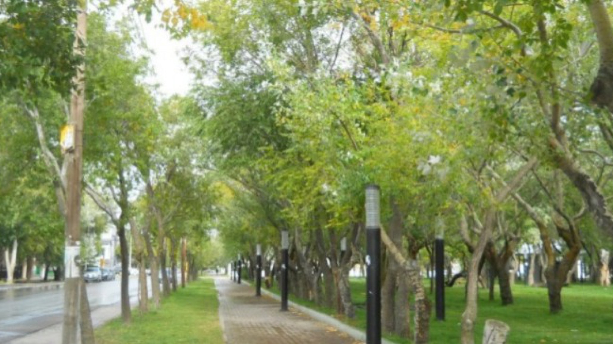 Un nene de 10 años tocó un poste y se electrocutó en la plaza, permanece en terapia intensiva