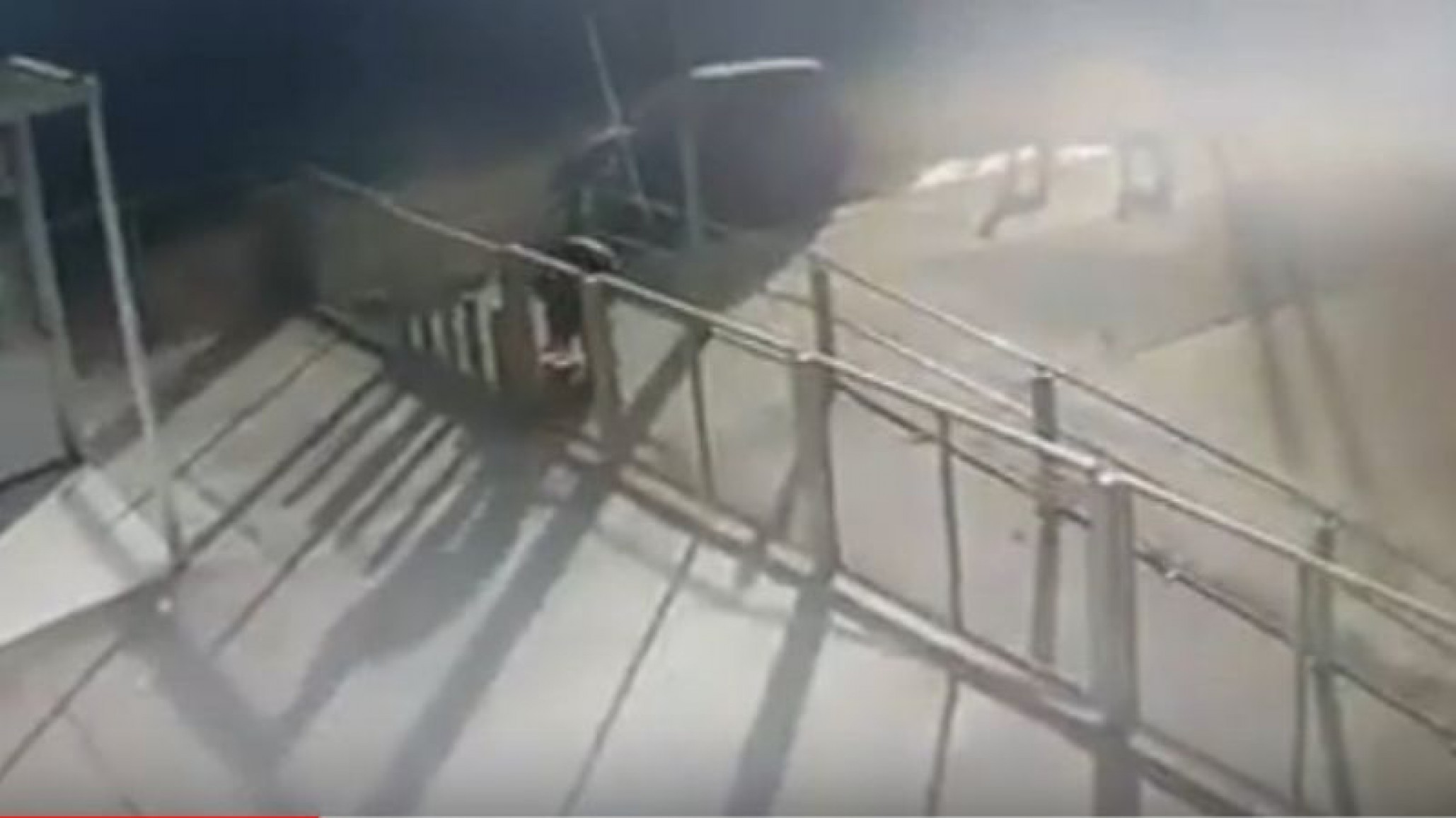 Dejó abandonados unos cachorros afuera de un Supermercado, quedó filmado