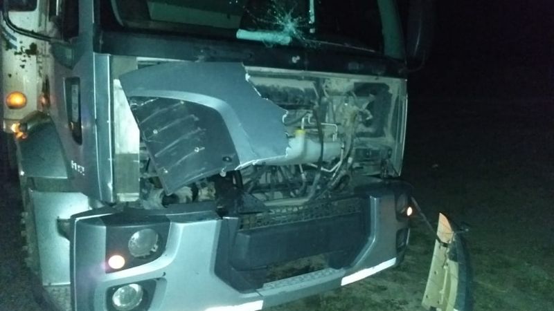 Un camión chocó con un caballo y el animal tuvo que ser sacrificado