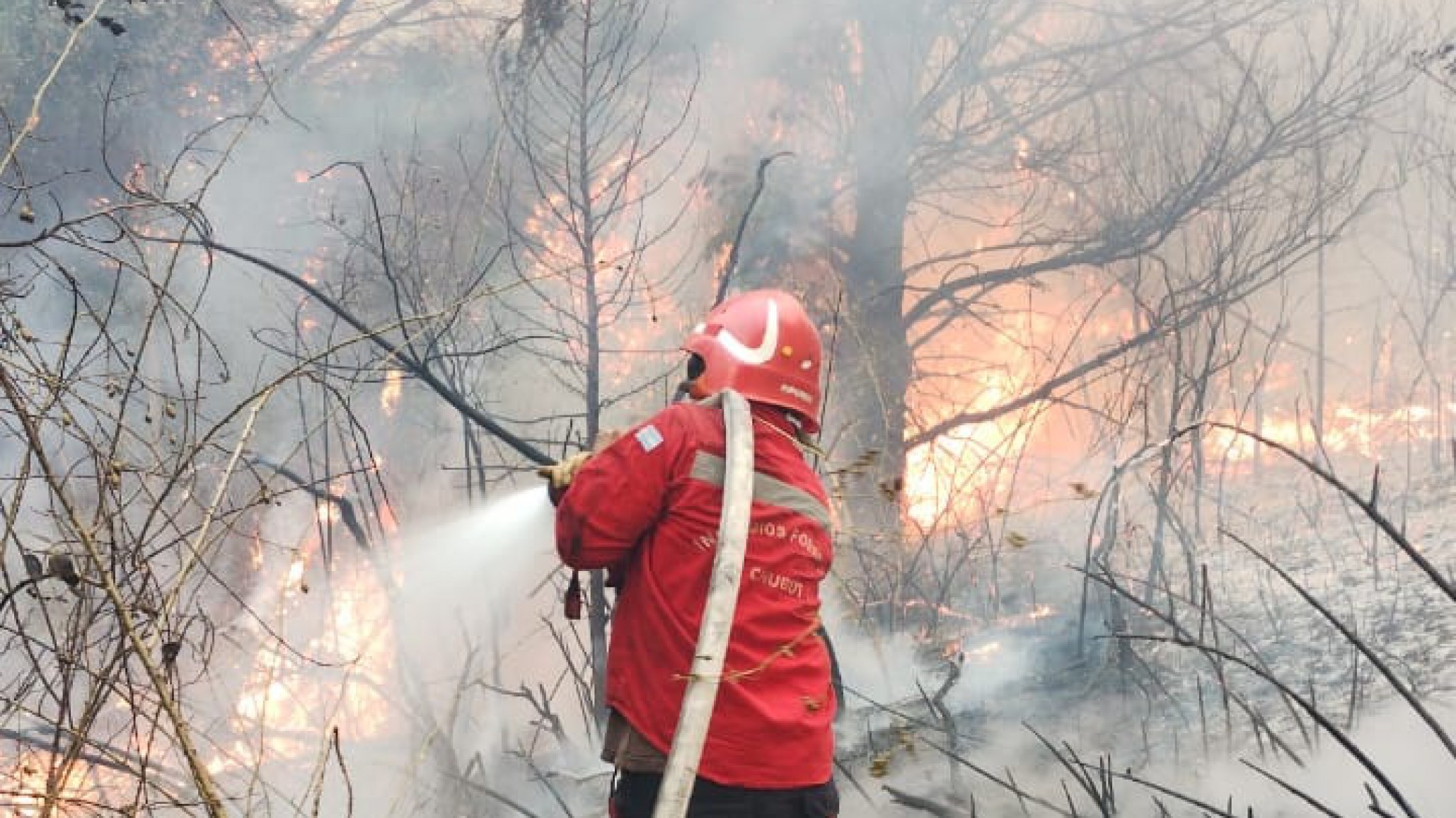 Aseguran que el incendio en Epuyén inició "por un descuido" con una amoladora"