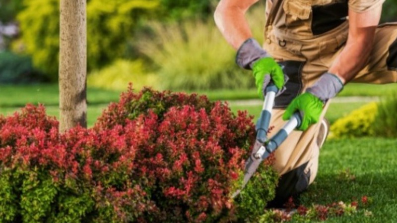 "No todo es lo que parece": El hombre detenido por merodear en Rada Tilly era jardinero y un cliente tuvo que intervenir para liberarlo