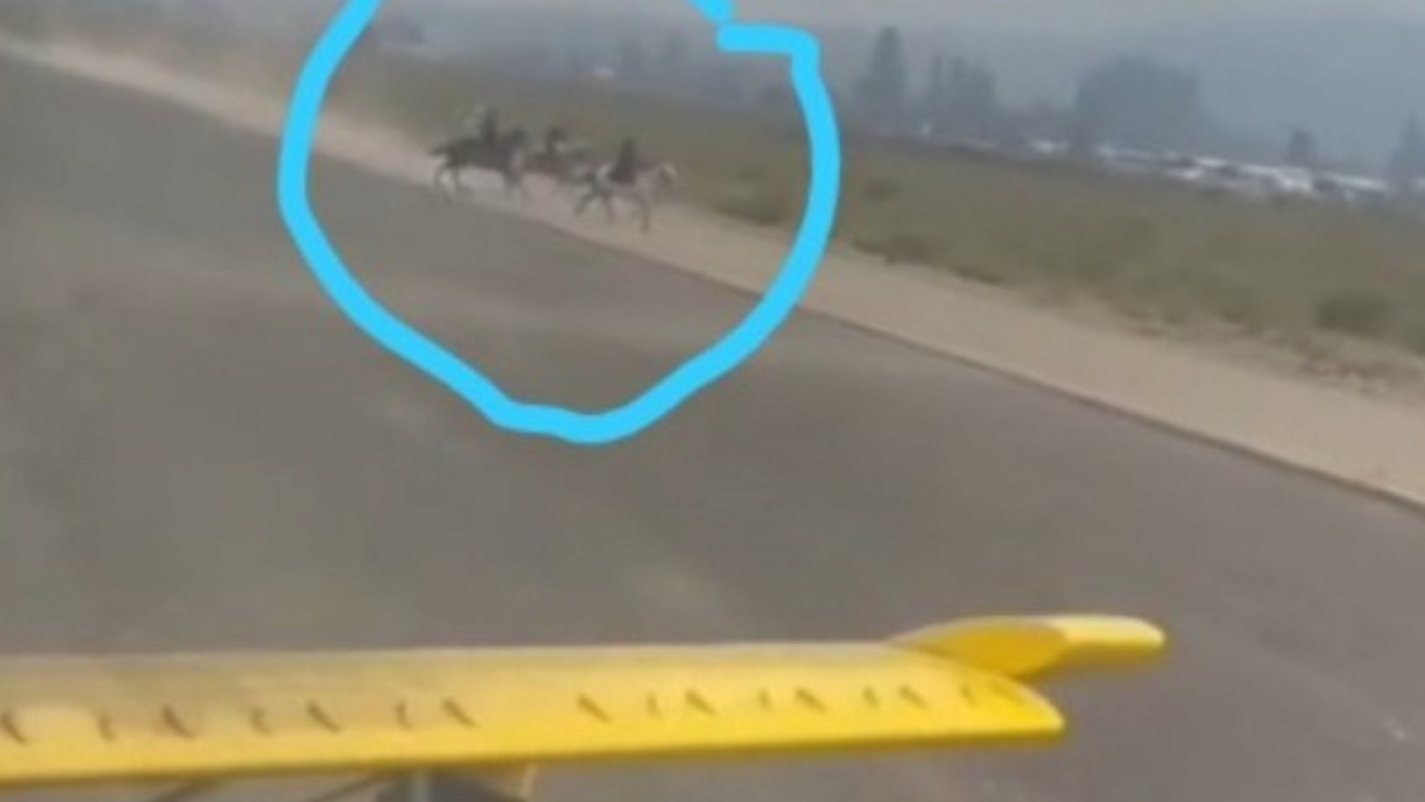¡Imprudencia! Un video muestra a personas a caballo invadiendo la Pista de Aterrizaje en plena maniobra de aeronaves en El Bolsón