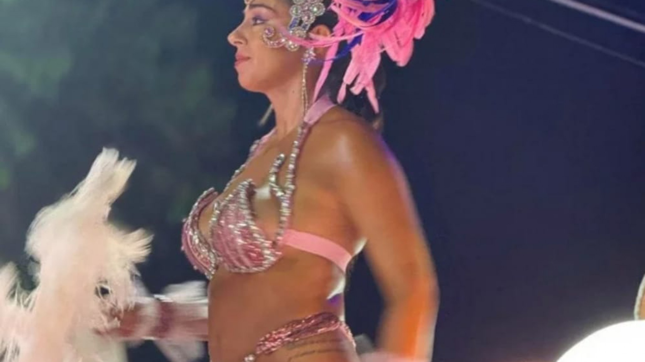 Una intendenta se calzó el bikini de carnaval y fue furor