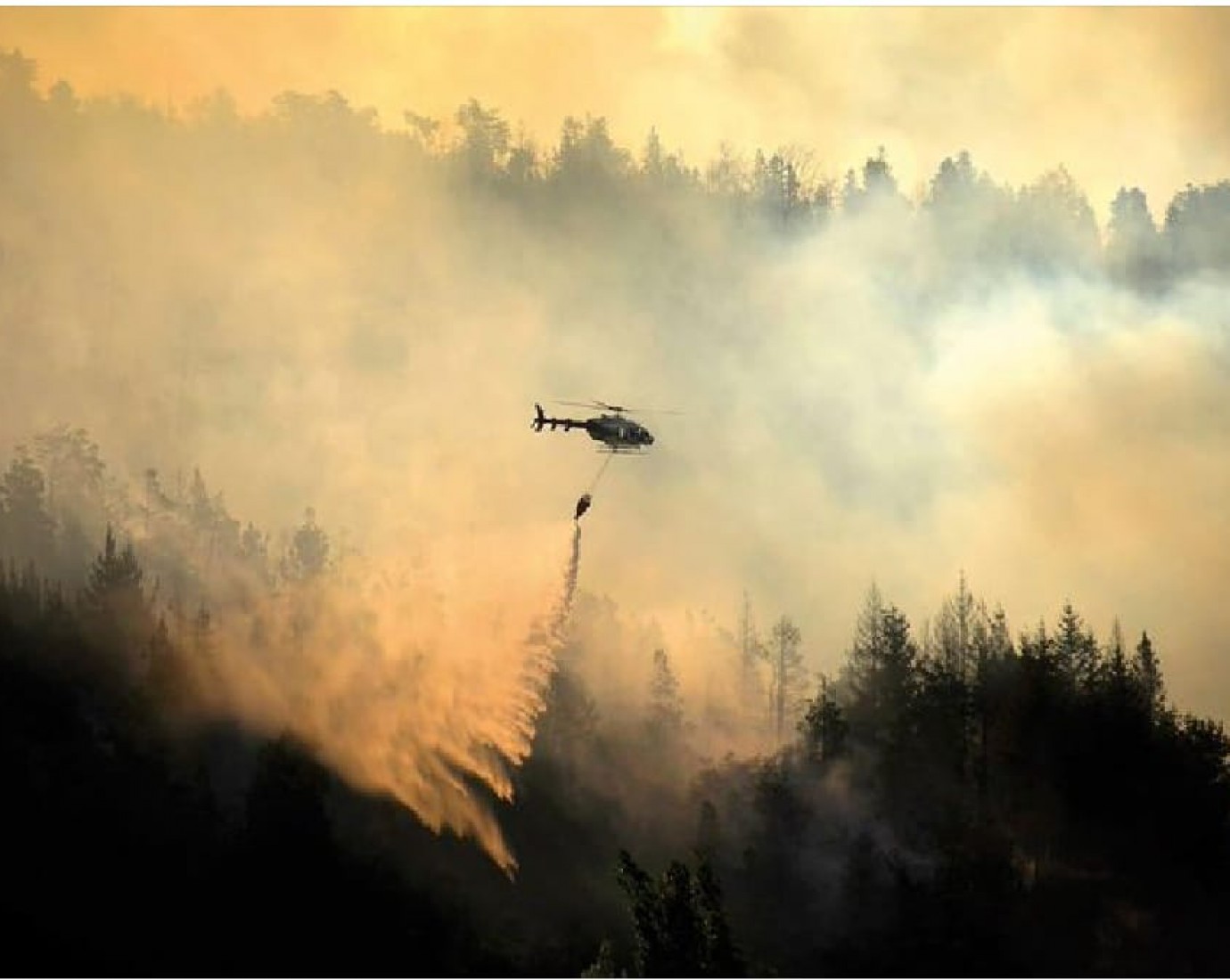 "Identificamos a los sospechosos, pero se dieron a la fuga": preocupación por los incendios en El Bolsón