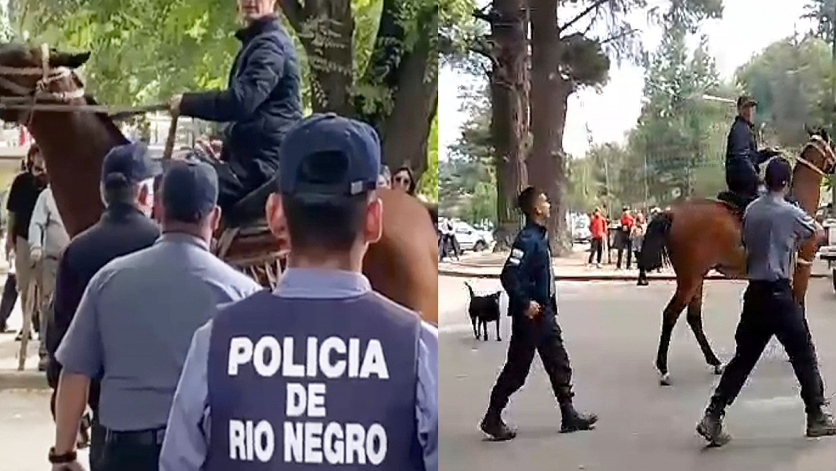 Esteban Santa María: "Acá ya conocemos a los pseudo gauchos a caballo y sus patrones que atacaron a la gente en El Bolsón"