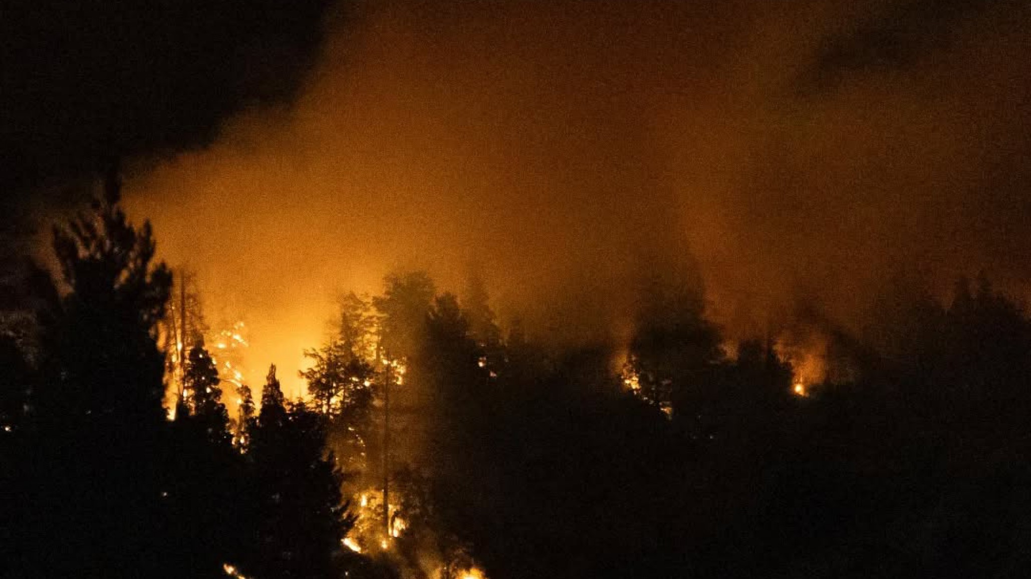 El incendio forestal sigue avanzando y ya arrasó con más de 3.000 hectáreas