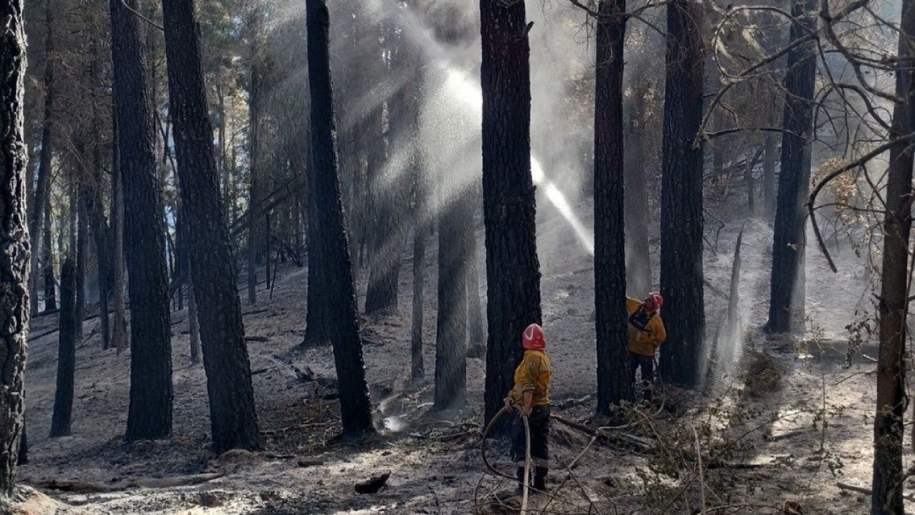 El incendio en El Pedregoso fue controlado