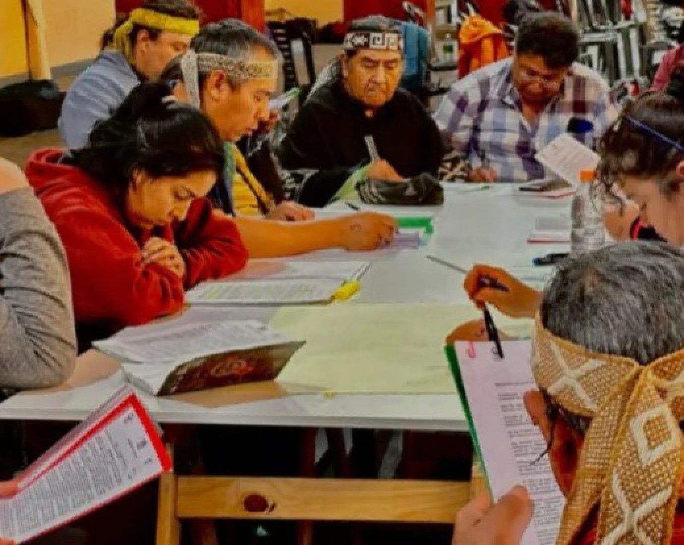 Hugo Aranea: "Hay una estigmatizacion del pueblo mapuche construida desde la política para los grandes grupos económicos"