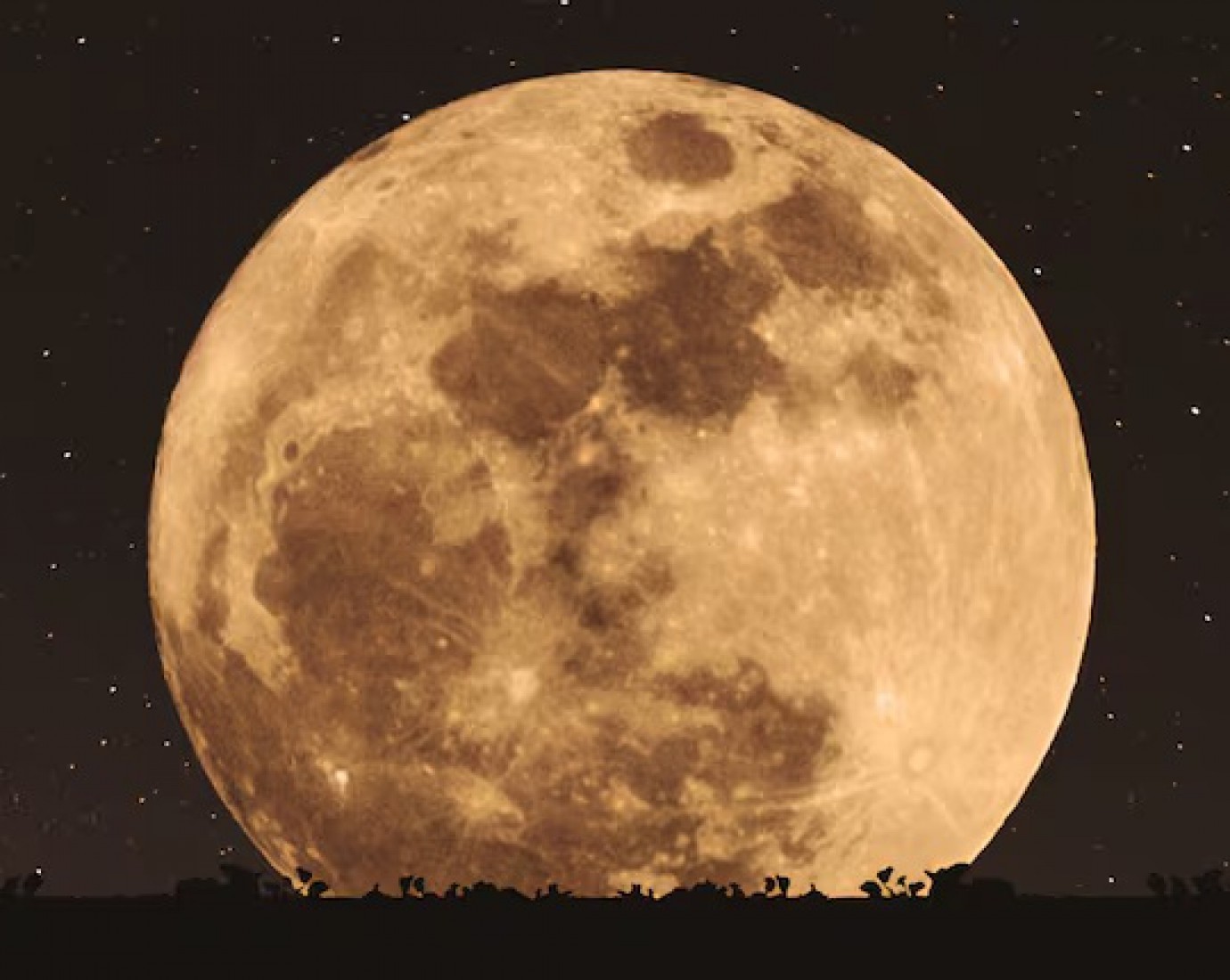 Esta noche se podrá observar la "Luna de Nieve" en la Argentina: ¿A qué hora?