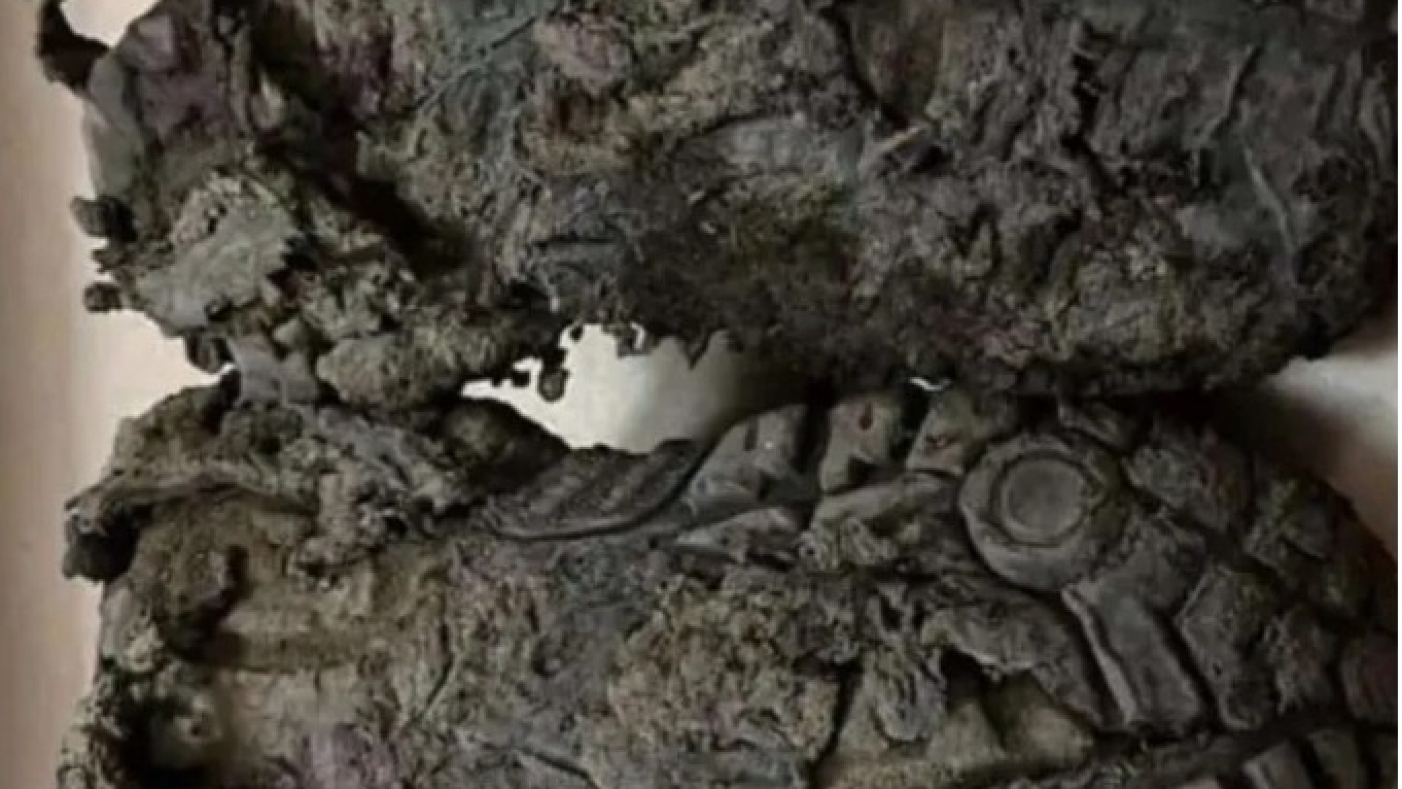 "Nos ponemos en los zapatos del otro": Marcha y colecta solidaria para brigadistas en la cordillera