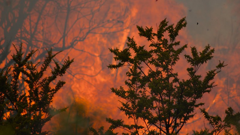 Nuevo incendio en el Parque Nacional Los Alerces: más de 24 hectáreas afectadas