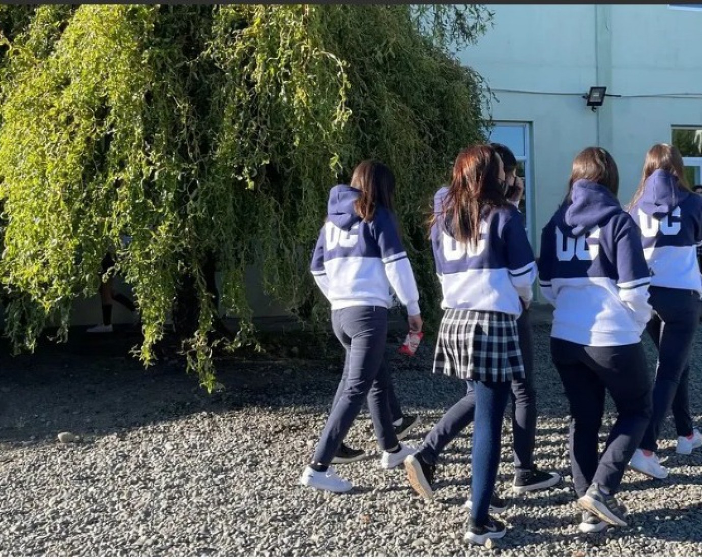 Un colegio aumentó la cuota de $175.000 a $826.000 por la quita del subsidio estatal