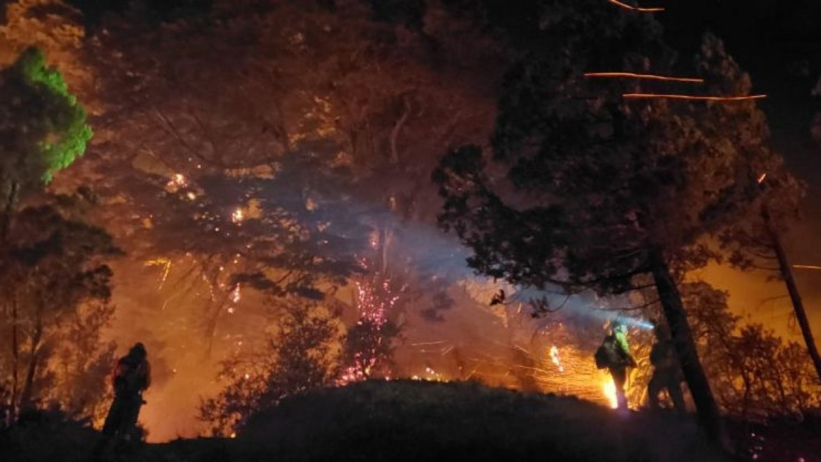 El incendio en el Parque Nacional Los Alerces fue intencional, sigue activo y ya afectó a 320 hectáreas