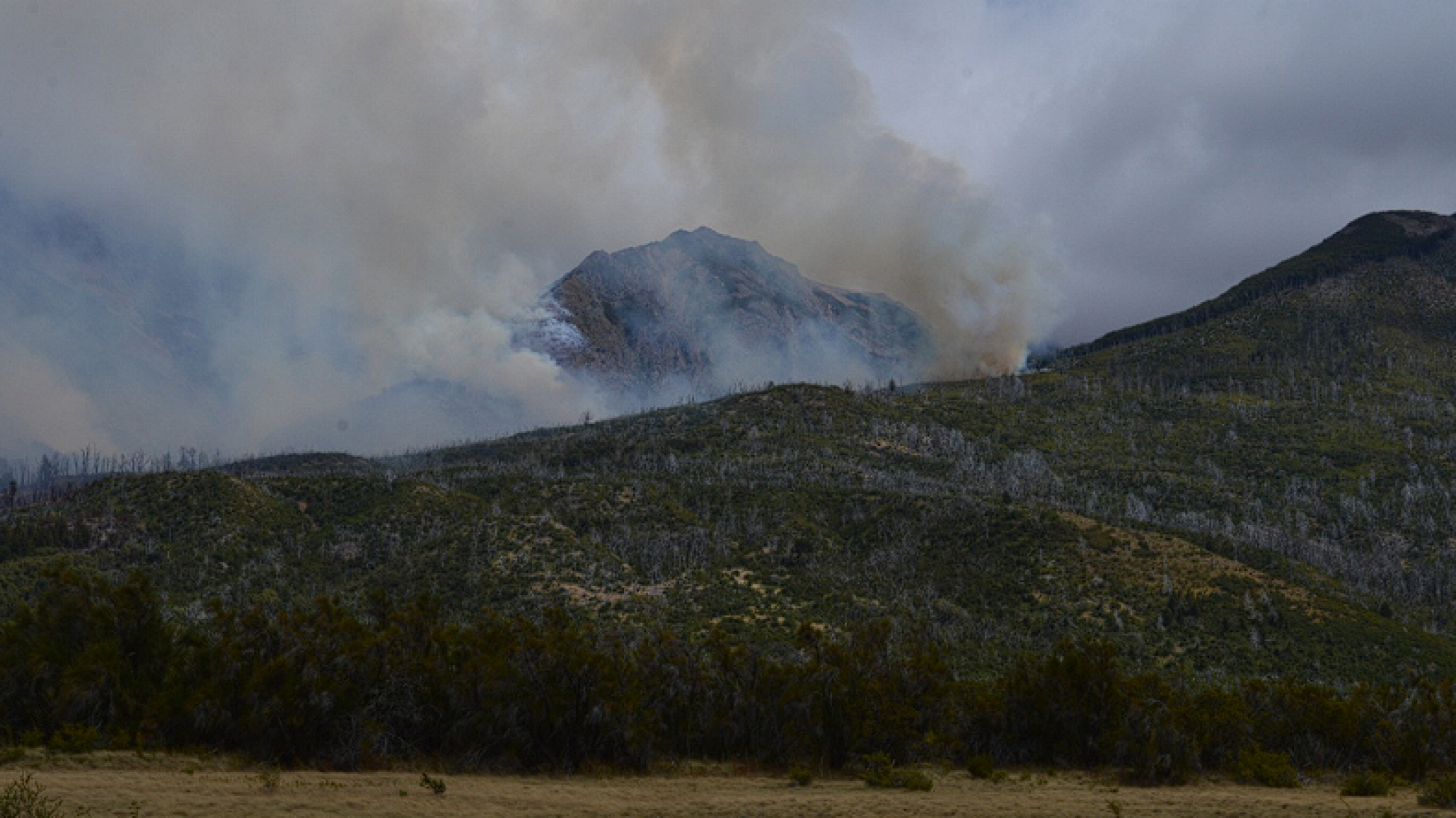 Incendio en el Parque Nacional Los Alerces: ya afectó 320 hectáreas y sigue activo