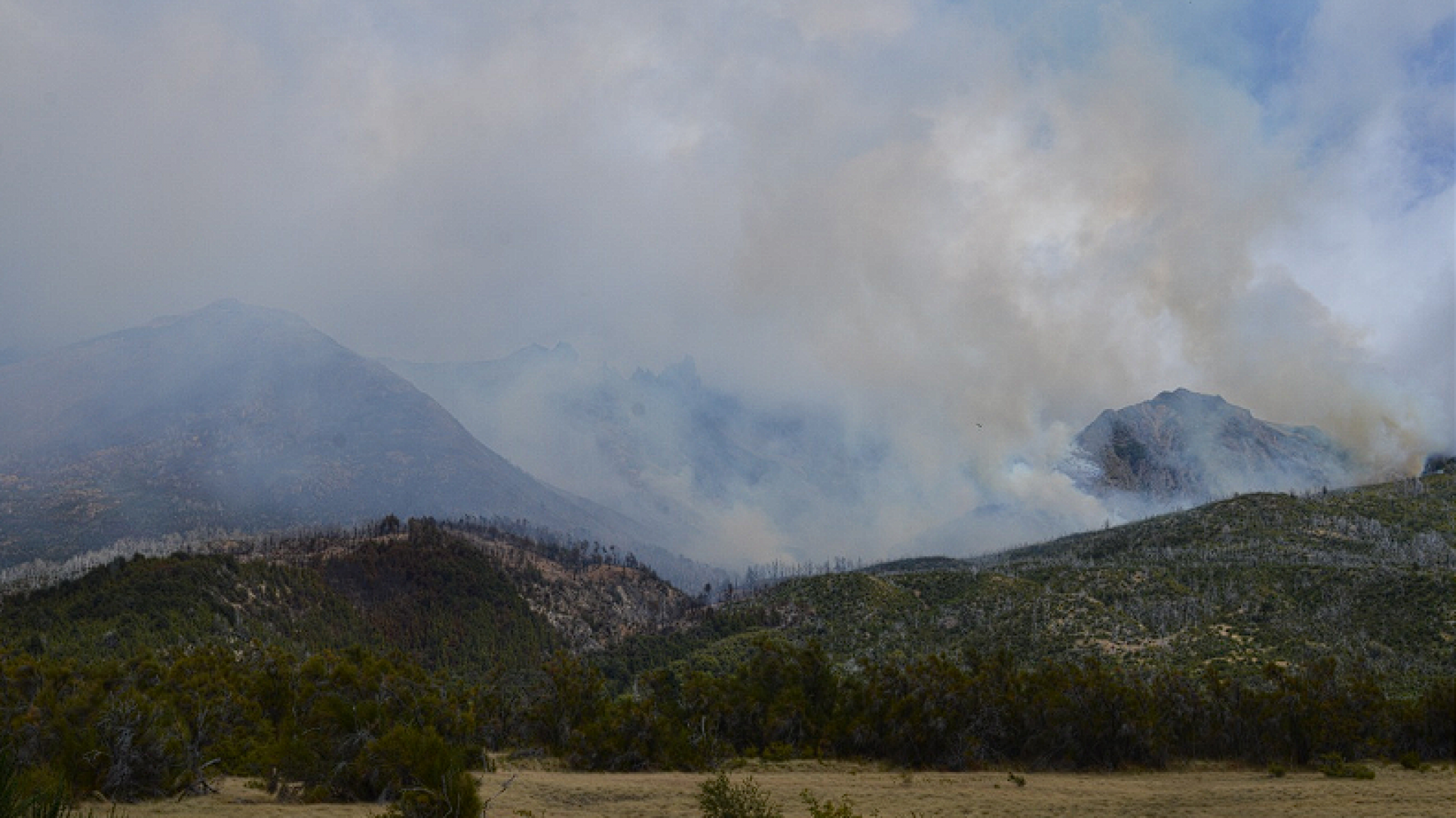 Parque Nacional Los Alerces: el incendio consumió 522 hectáreas y sigue activo