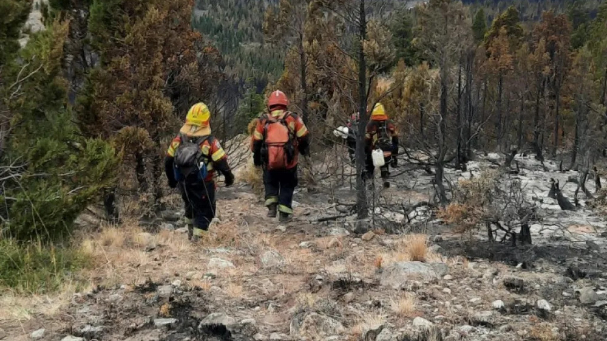 Controlaron el incendio forestal en Trevelin