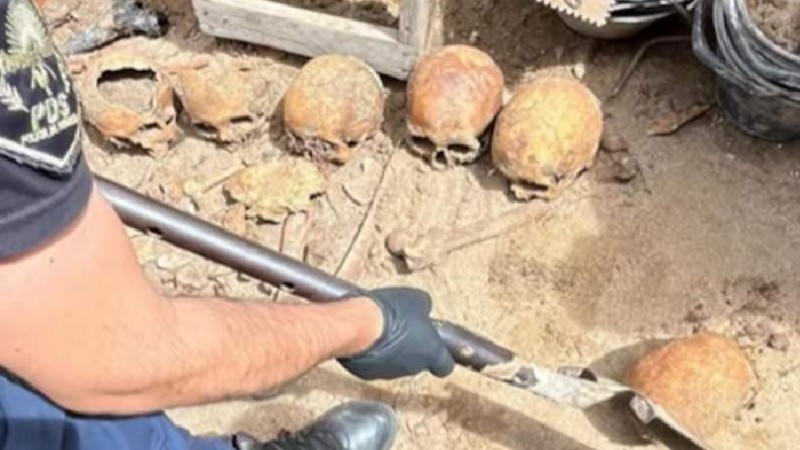 Hacía refacciones en el patio trasero de su casa y encontró 12 cráneos humanos en PInamar