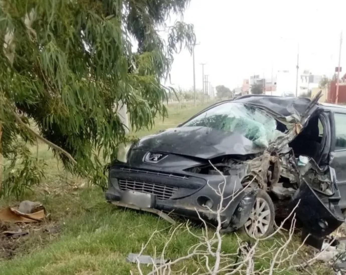 Tragedia en Ruta 1: Un hombre murió tras volcar con su auto en Viedma