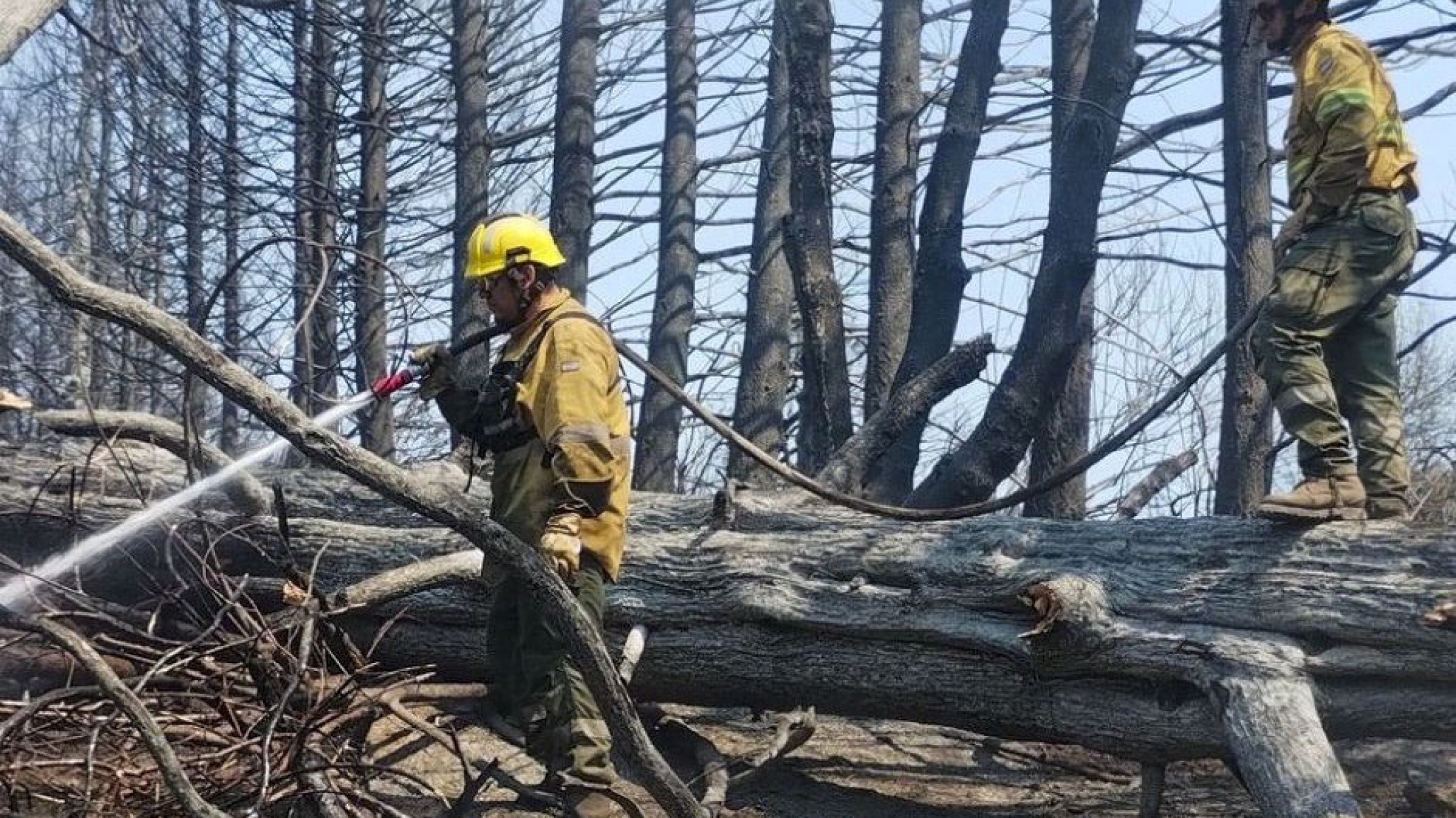 Lograron controlar los incendios en El Bolsón tras un mes de lucha